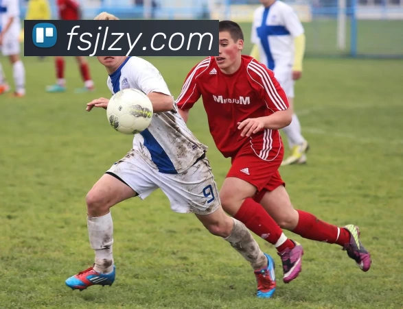 华体育会hthAPP 封面图